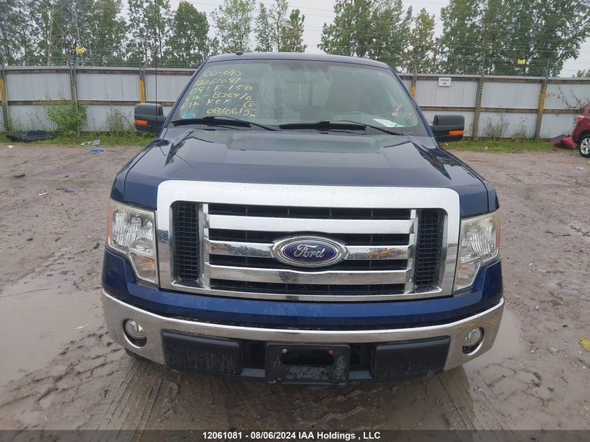 2009 Ford F-150 Stx/Xl/Xlt VIN: 1FTRX12899FB36410 Lot: 12061081