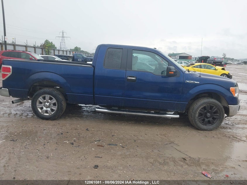 2009 Ford F-150 Stx/Xl/Xlt VIN: 1FTRX12899FB36410 Lot: 12061081