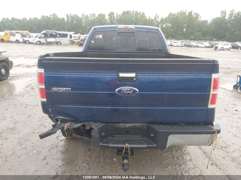 2009 Ford F-150 Stx/Xl/Xlt VIN: 1FTRX12899FB36410 Lot: 12061081