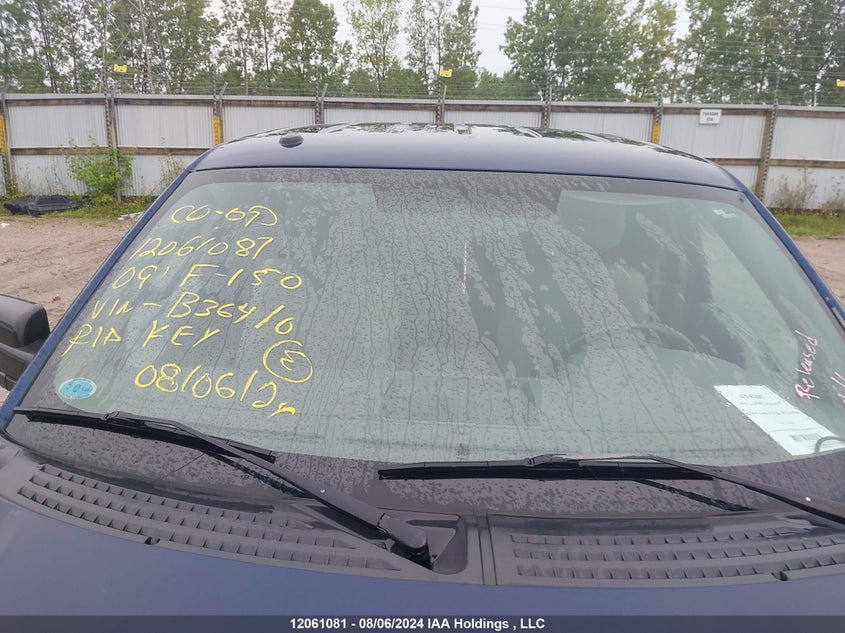 2009 Ford F-150 Stx/Xl/Xlt VIN: 1FTRX12899FB36410 Lot: 12061081