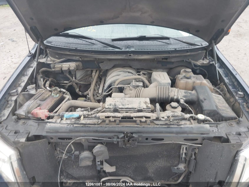 2009 Ford F-150 Stx/Xl/Xlt VIN: 1FTRX12899FB36410 Lot: 12061081