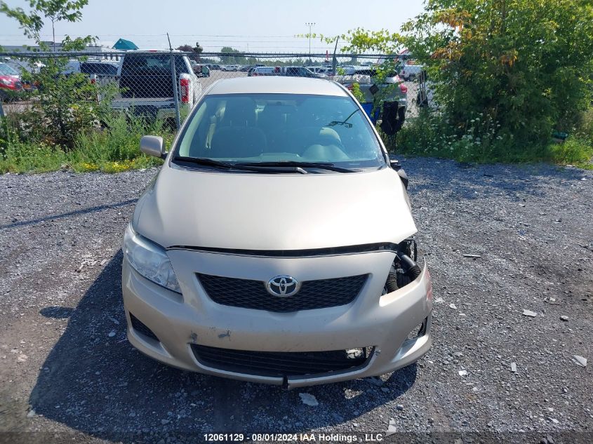 2010 Toyota Corolla VIN: 2T1BU4EE4AC367774 Lot: 12061129