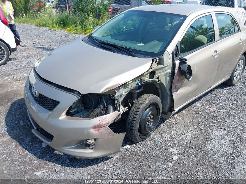 2010 Toyota Corolla VIN: 2T1BU4EE4AC367774 Lot: 12061129