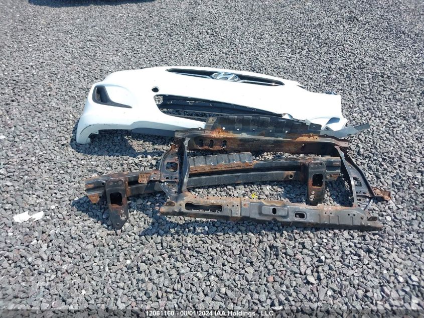 2013 Hyundai Accent Gls/Gs VIN: KMHCT5AE5DU087898 Lot: 12061160