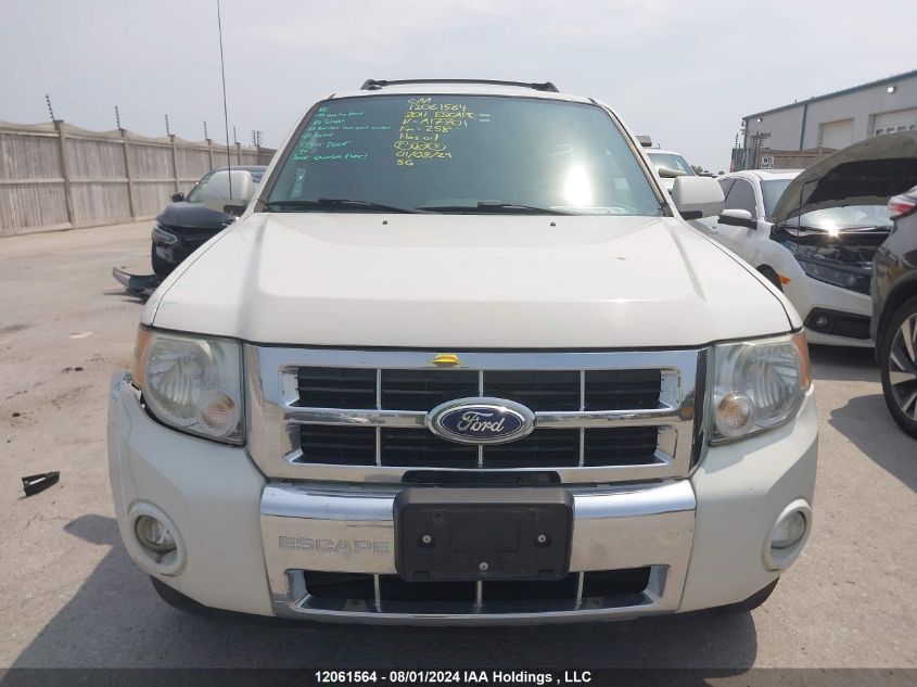2011 Ford Escape Limited VIN: 1FMCU9EG5BKA17701 Lot: 12061564