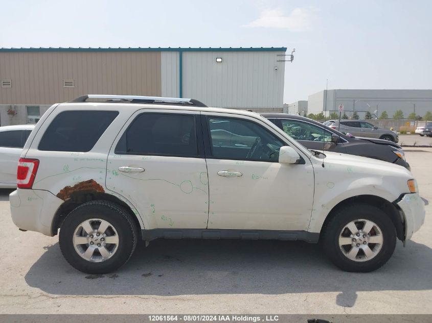 2011 Ford Escape Limited VIN: 1FMCU9EG5BKA17701 Lot: 12061564