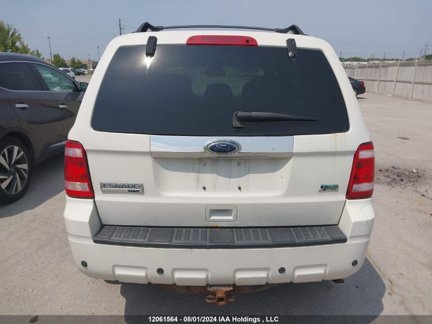 2011 Ford Escape Limited VIN: 1FMCU9EG5BKA17701 Lot: 12061564