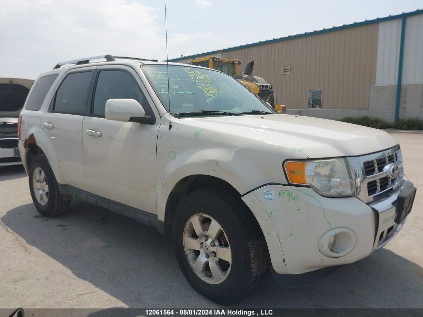 2011 Ford Escape Limited VIN: 1FMCU9EG5BKA17701 Lot: 12061564