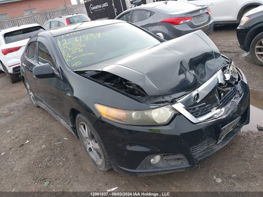 2009 Acura Tsx VIN: JH4CU26459C802738 Lot: 12061837