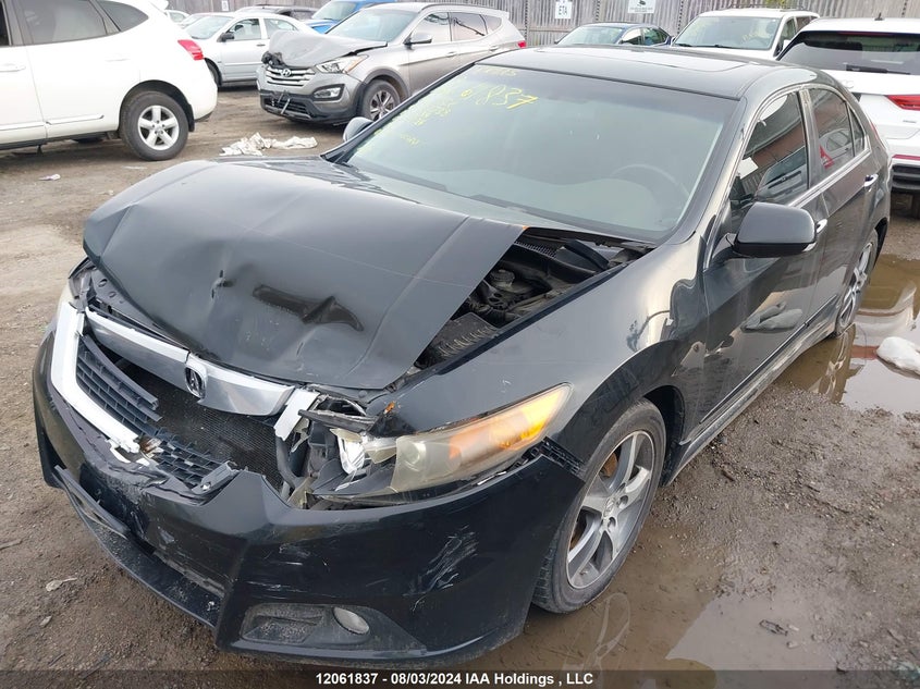 2009 Acura Tsx VIN: JH4CU26459C802738 Lot: 12061837