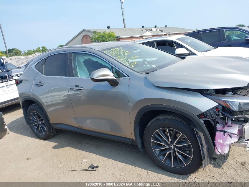 2024 Lexus Nx 350 Premium VIN: 2T2GGCEZ7RC058396 Lot: 12062010