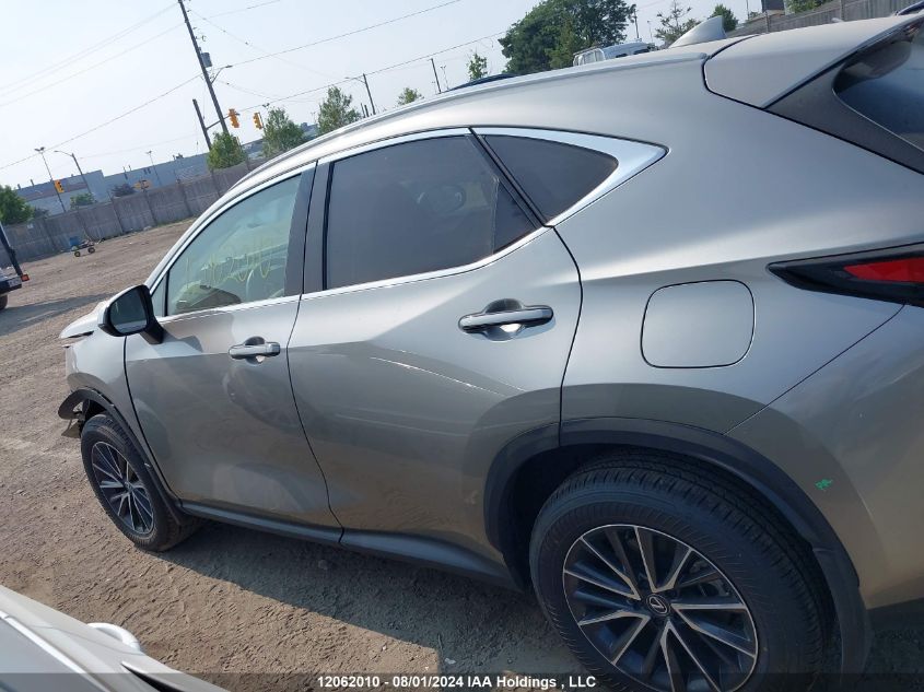 2024 Lexus Nx 350 Premium VIN: 2T2GGCEZ7RC058396 Lot: 12062010