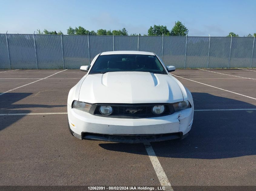 2010 Ford Mustang VIN: 1ZVBP8CH8A5103365 Lot: 12062091