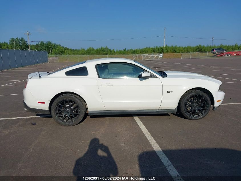 2010 Ford Mustang VIN: 1ZVBP8CH8A5103365 Lot: 12062091