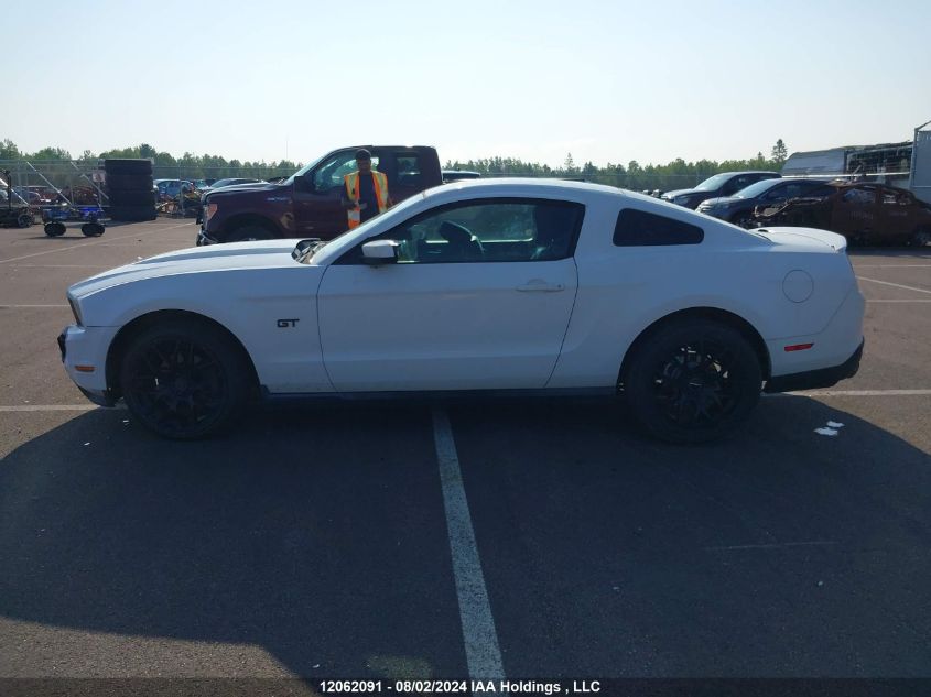 2010 Ford Mustang VIN: 1ZVBP8CH8A5103365 Lot: 12062091