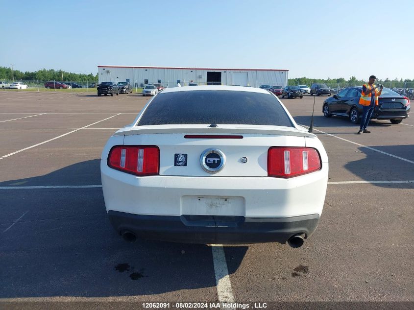 2010 Ford Mustang VIN: 1ZVBP8CH8A5103365 Lot: 12062091