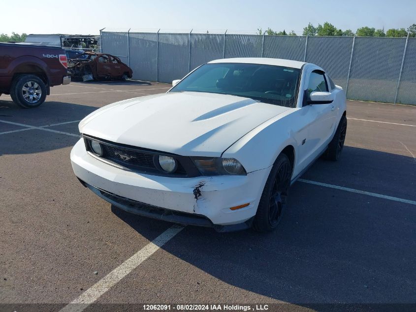 2010 Ford Mustang VIN: 1ZVBP8CH8A5103365 Lot: 12062091