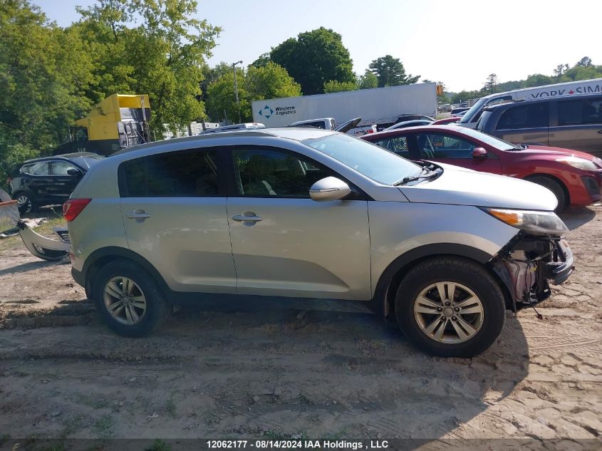 2013 Kia Sportage VIN: KNDPB3A25D7497831 Lot: 12062177