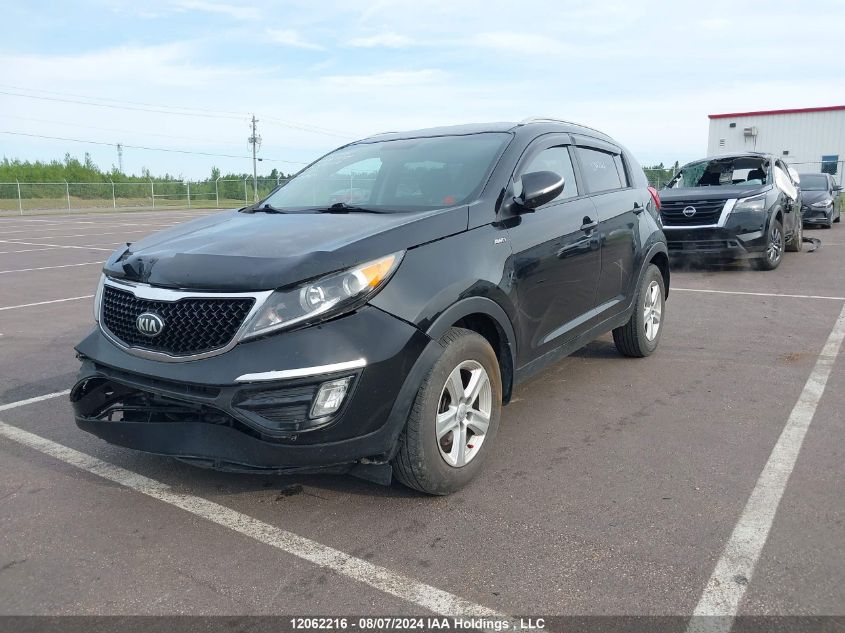 2016 Kia Sportage VIN: KNDPBCAC9G7830058 Lot: 12062216