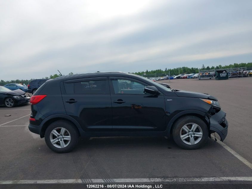 2016 Kia Sportage VIN: KNDPBCAC9G7830058 Lot: 12062216