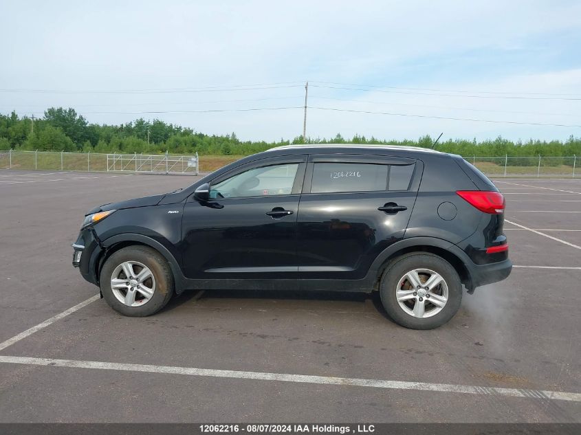 2016 Kia Sportage VIN: KNDPBCAC9G7830058 Lot: 12062216