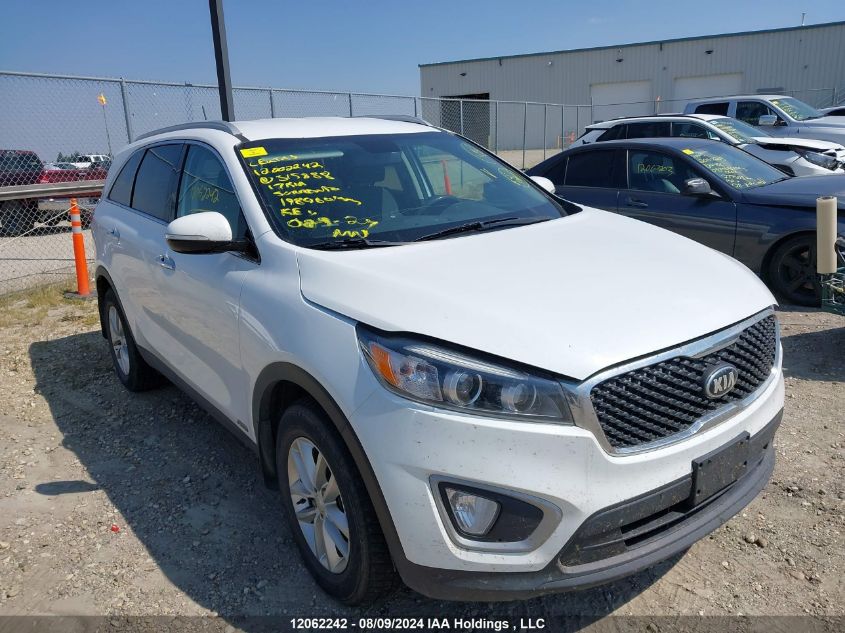 2017 Kia Sorento VIN: 5XYPGDA31HG315888 Lot: 12062242