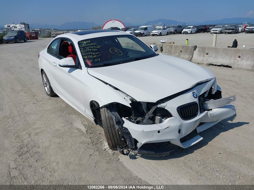 2016 BMW 2 Series VIN: WBA1G9C55GV599760 Lot: 12062266