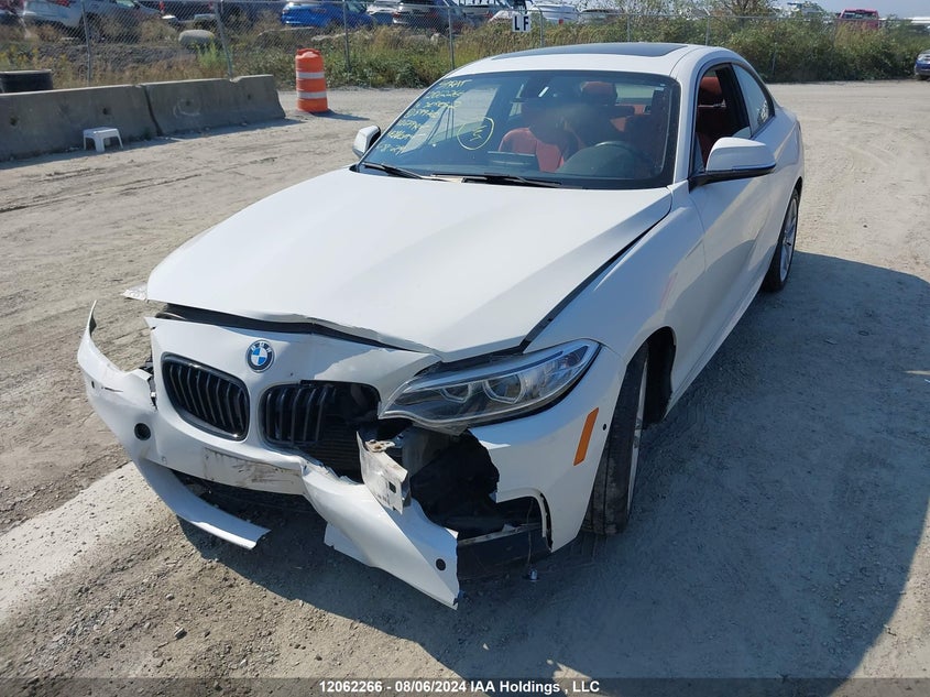 2016 BMW 2 Series VIN: WBA1G9C55GV599760 Lot: 12062266