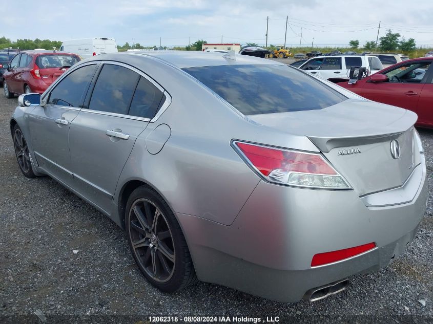 2009 Acura Tl VIN: 19UUA96509A800375 Lot: 12062318