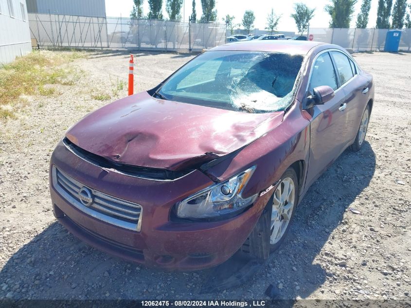 2013 Nissan Maxima VIN: 1N4AA5APXDC834779 Lot: 12062475