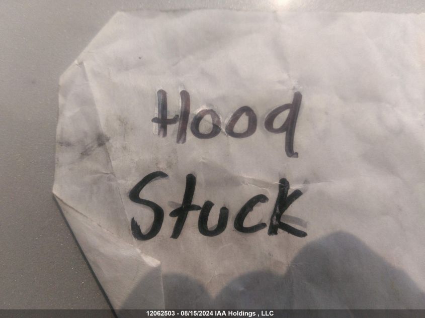 2009 Ford Escape Xlt VIN: 1FMCU93G29KA11240 Lot: 12062503