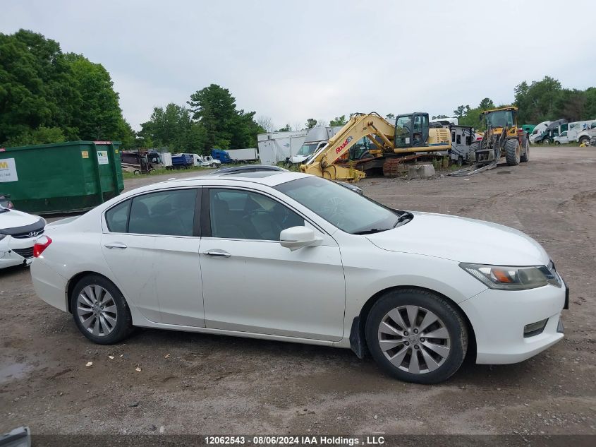 2013 Honda Accord Sedan VIN: 1HGCR2F87DA800789 Lot: 12062543