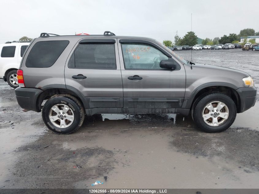 2006 Ford Escape VIN: 1FMYU93186KD53272 Lot: 12062555