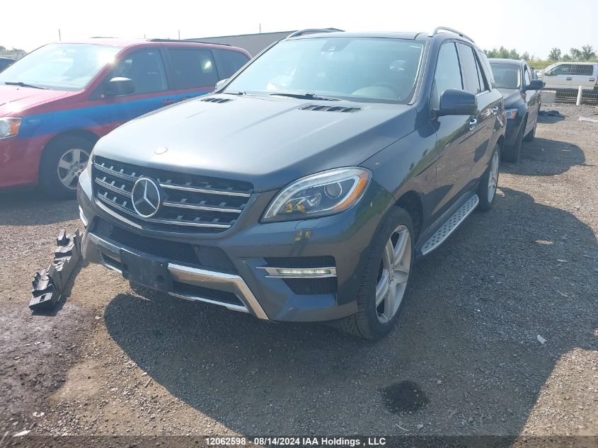 2013 Mercedes-Benz Ml-Class VIN: 4JGDA2EB3DA202993 Lot: 12062598