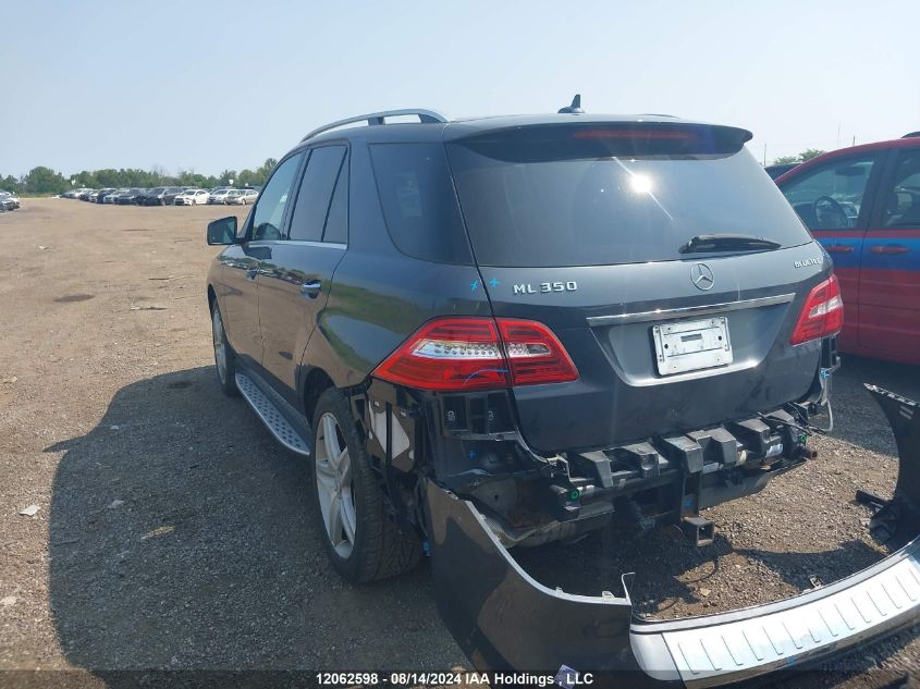 2013 Mercedes-Benz Ml-Class VIN: 4JGDA2EB3DA202993 Lot: 12062598