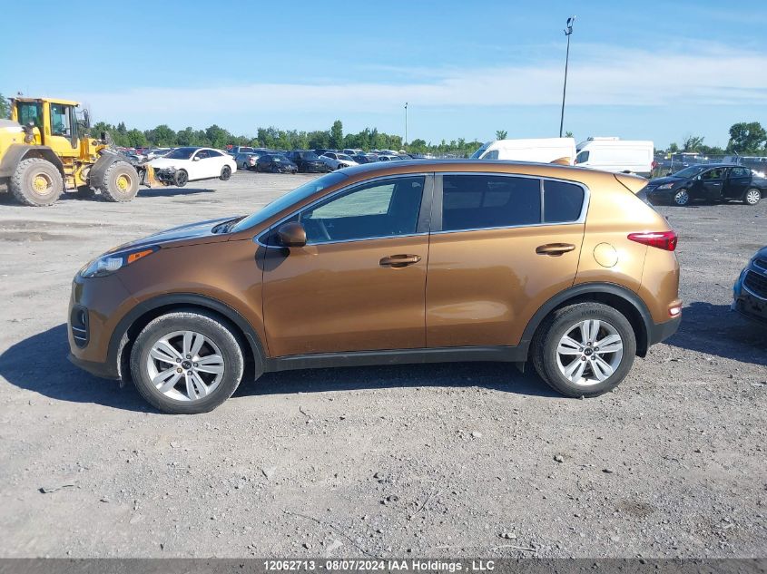 2017 Kia Sportage VIN: KNDPM3AC3H7236822 Lot: 12062713