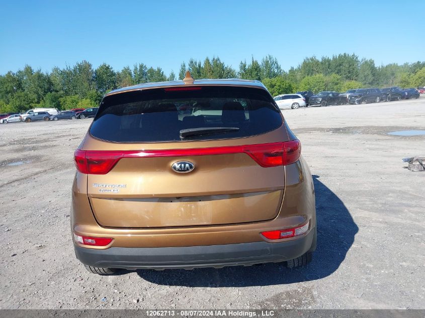 2017 Kia Sportage VIN: KNDPM3AC3H7236822 Lot: 12062713