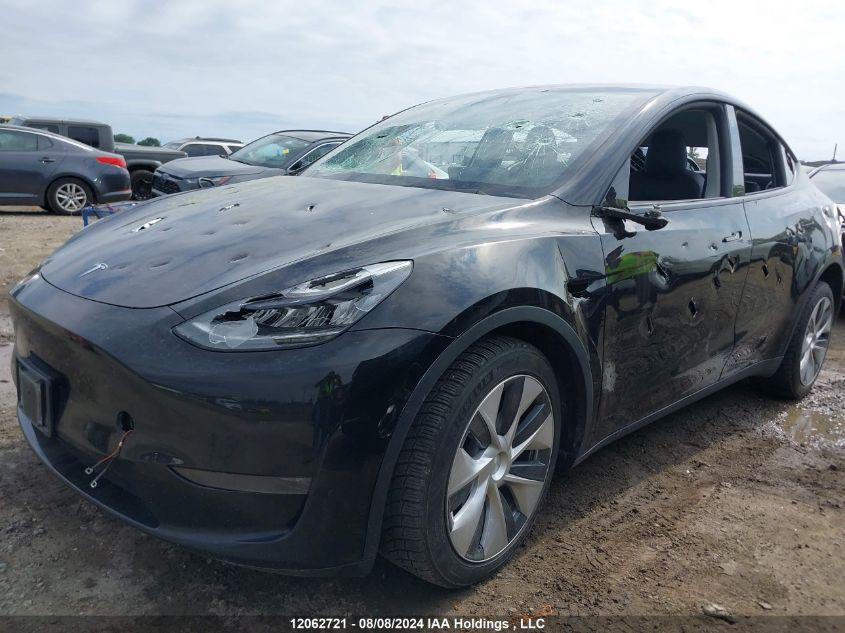 2020 Tesla Model Y VIN: 5YJYGDEE1LF012559 Lot: 12062721