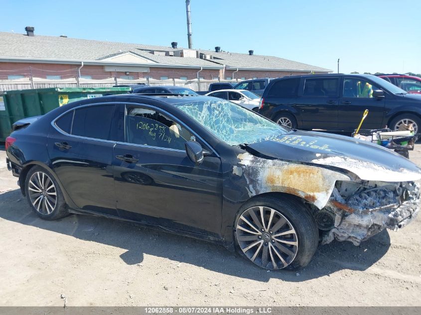 2019 Acura Tlx Technology VIN: 19UUB3F54KA801027 Lot: 12062858