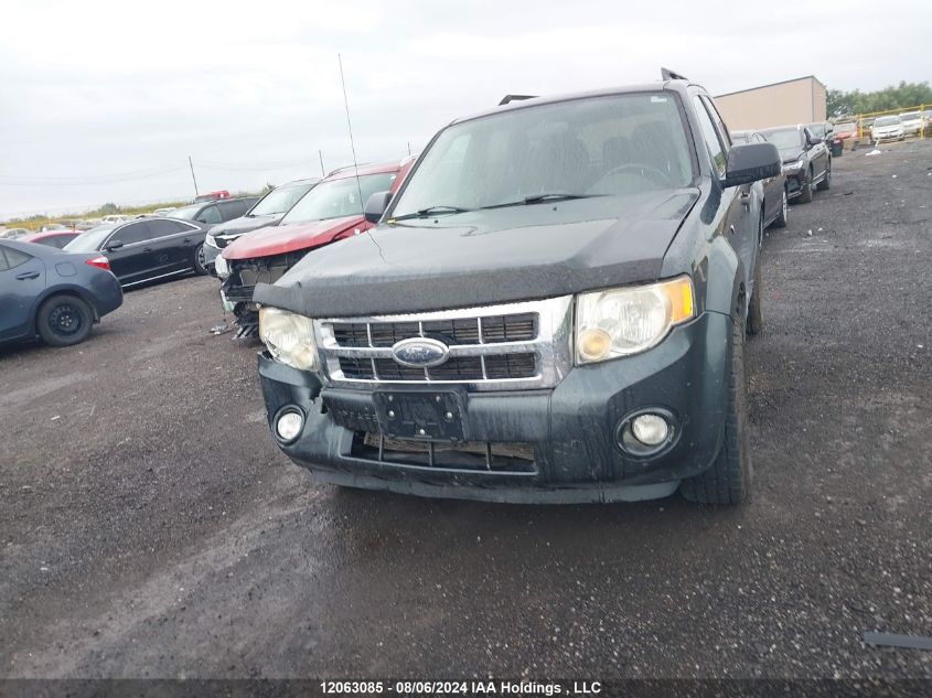 2008 Ford Escape Xlt VIN: 1FMCU03138KD13786 Lot: 12063085