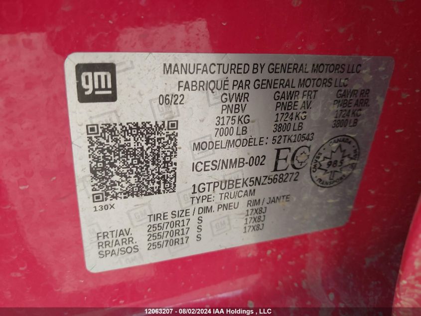 2022 GMC Sierra 1500 VIN: 1GTPUBEK5NZ568272 Lot: 12063207