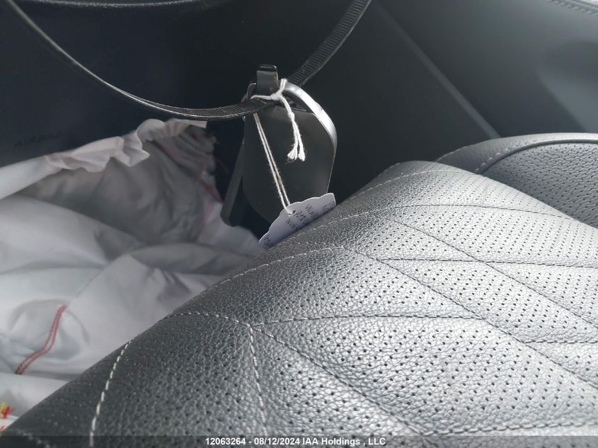 2023 Kia Telluride VIN: 5XYP5DGC3PG382603 Lot: 12063264