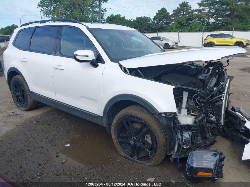 2023 Kia Telluride VIN: 5XYP5DGC3PG382603 Lot: 12063264