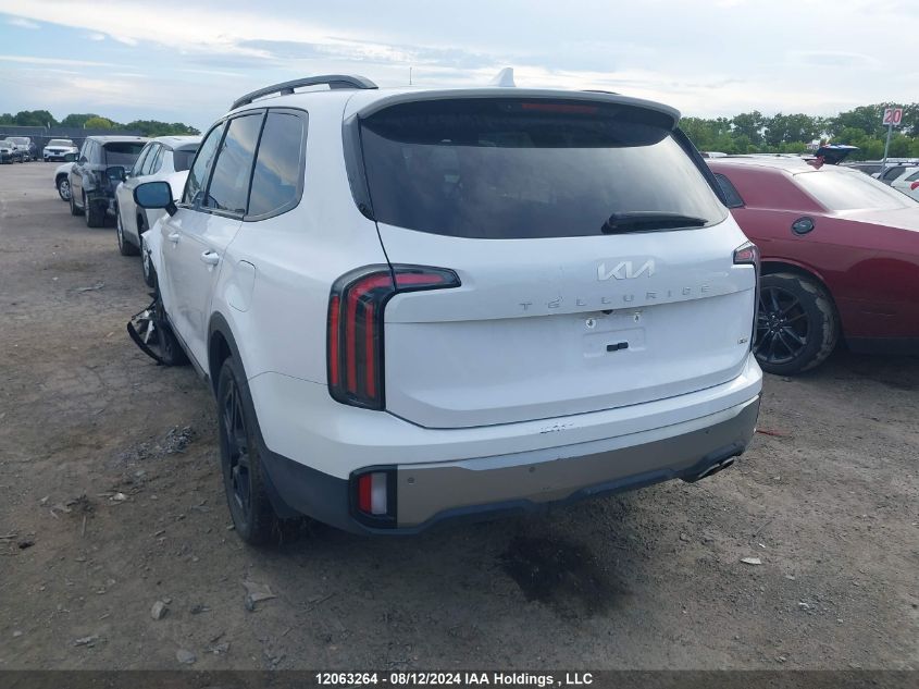 2023 Kia Telluride VIN: 5XYP5DGC3PG382603 Lot: 12063264