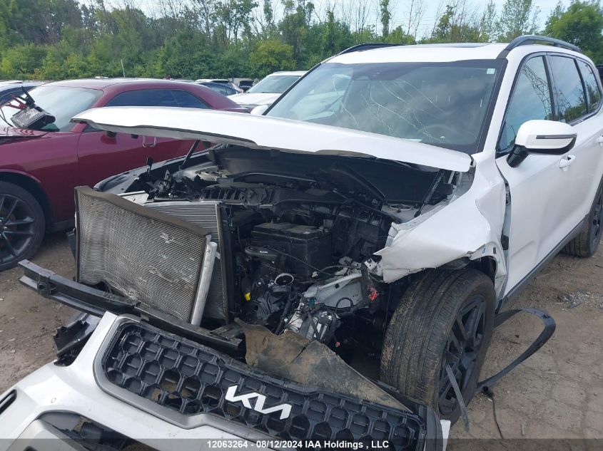 2023 Kia Telluride VIN: 5XYP5DGC3PG382603 Lot: 12063264