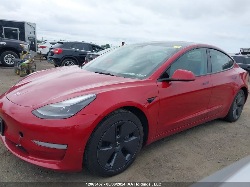 2023 Tesla Model 3 VIN: 5YJ3E1EAXPF385276 Lot: 12063457