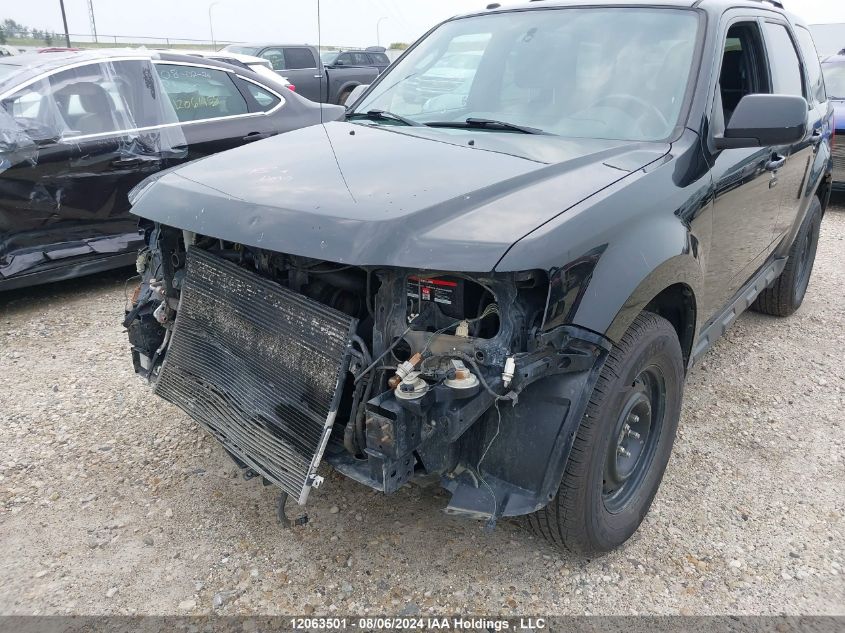 2012 Ford Escape Limited VIN: 1FMCU9EG2CKA18029 Lot: 12063501