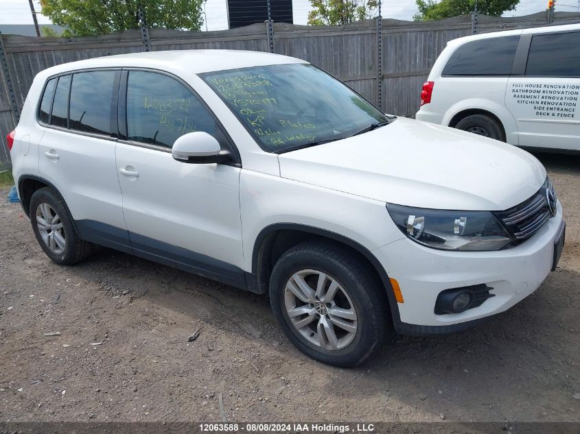 2013 Volkswagen Tiguan VIN: WVGKV3AX3DW570497 Lot: 12063588