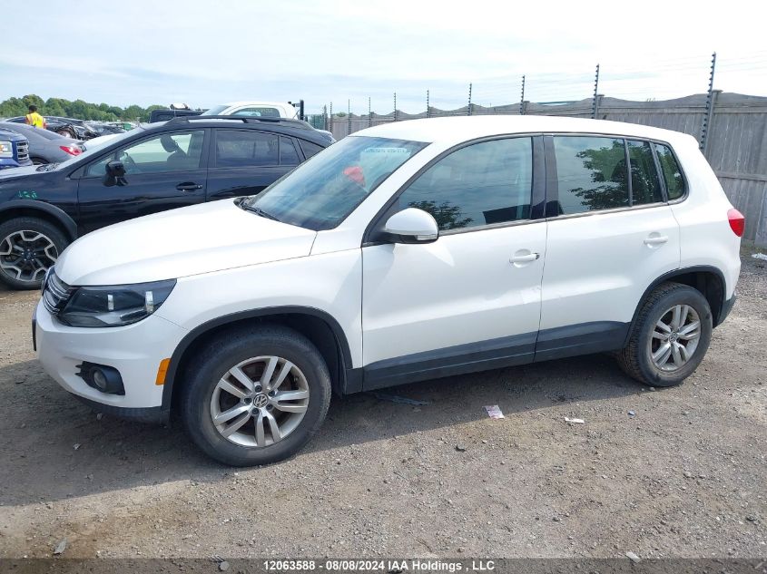 2013 Volkswagen Tiguan VIN: WVGKV3AX3DW570497 Lot: 12063588