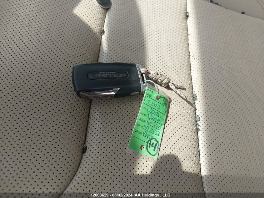 2019 Ram 1500 Limited VIN: 1C6SRFPTXKN588441 Lot: 12063629